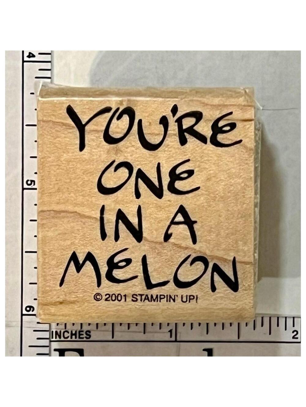 Stampin' Up! You're One in a Melon Rubber Stamp Card Making Scrapbooking Craft
